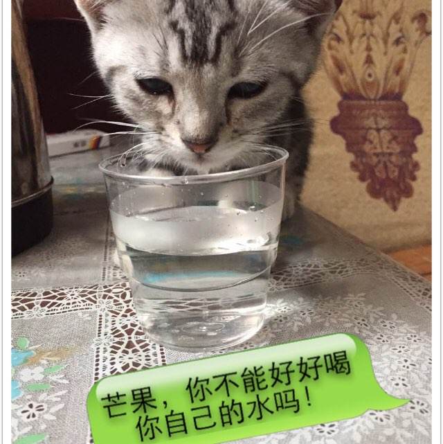 蒙德拉贡大学理工科文凭证书